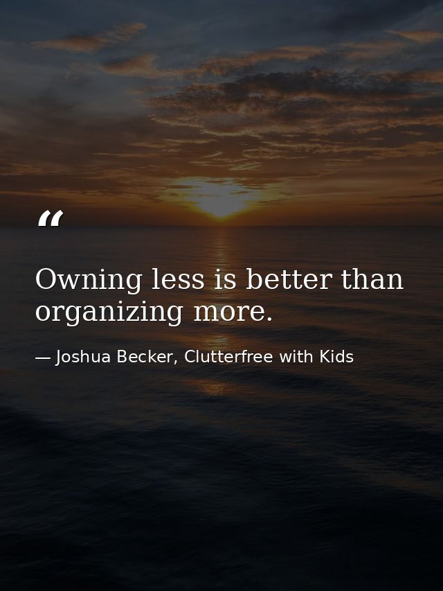Owning less is better than organizing more. — Joshua Becker, Clutterfree with Kids