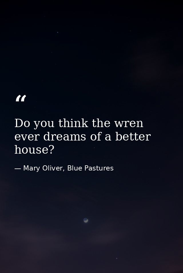 Do you think the wren ever dreams of a better house? — Mary Oliver, Blue Pastures