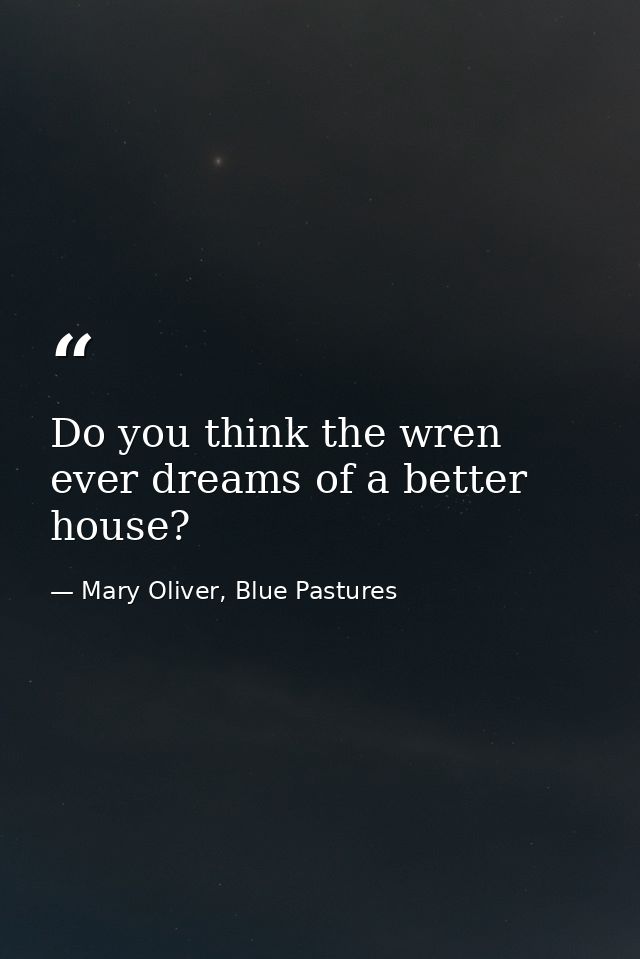 Do you think the wren ever dreams of a better house? — Mary Oliver, Blue Pastures