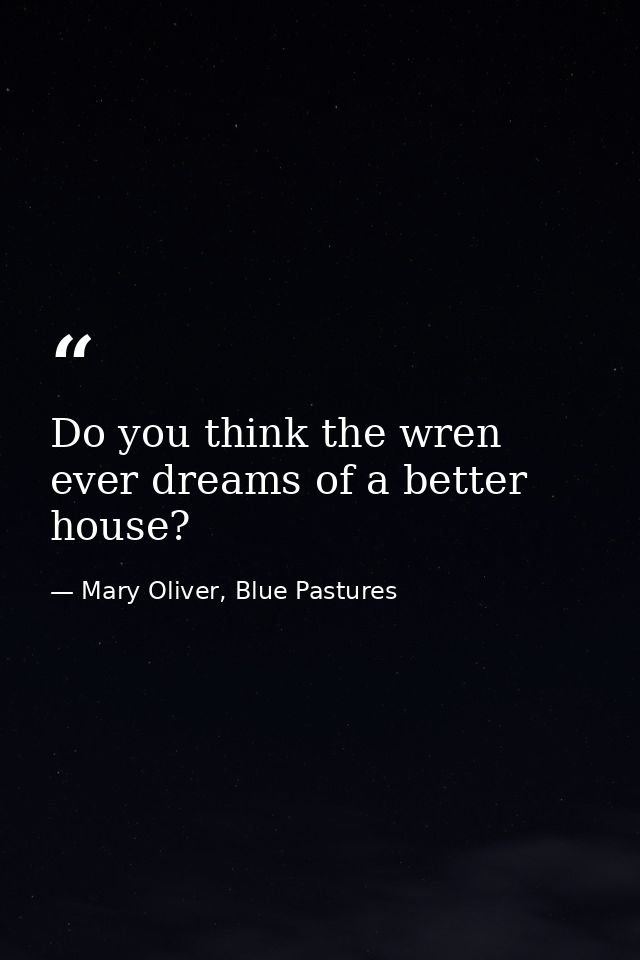Do you think the wren ever dreams of a better house? — Mary Oliver, Blue Pastures