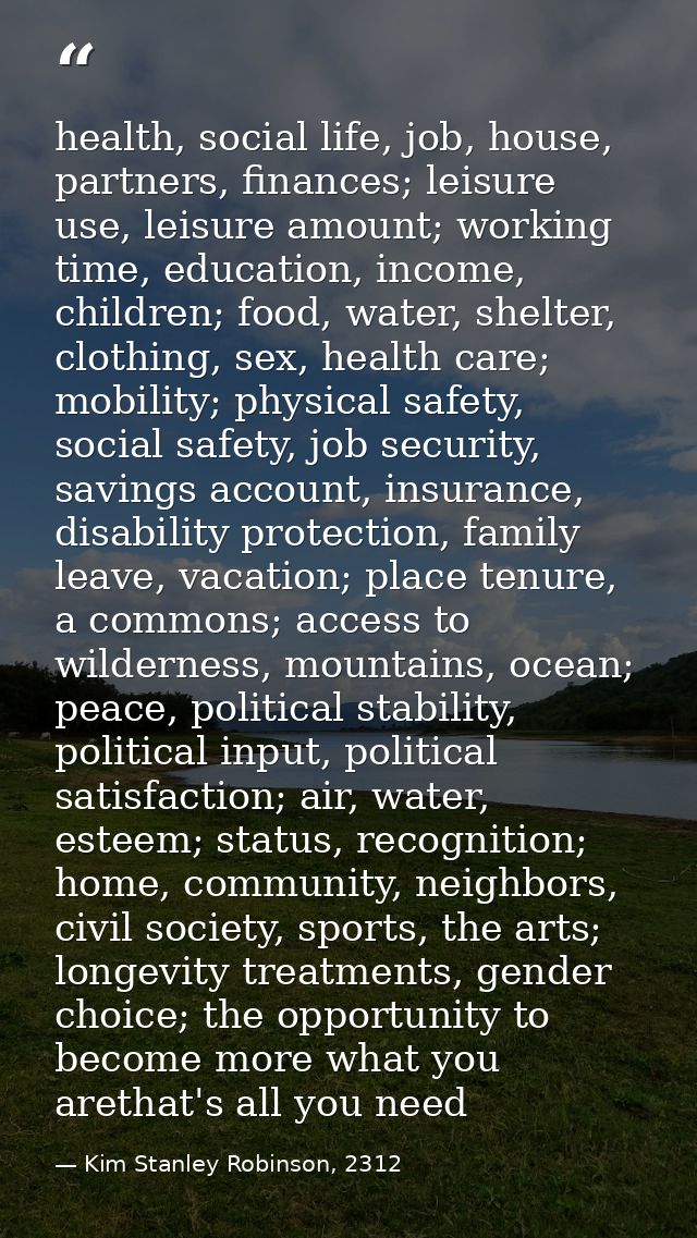 health, social life, job, house, partners, finances; leisure use, leisure amount; working time, education, income, child — Kim Stanley Robinson, 2312
