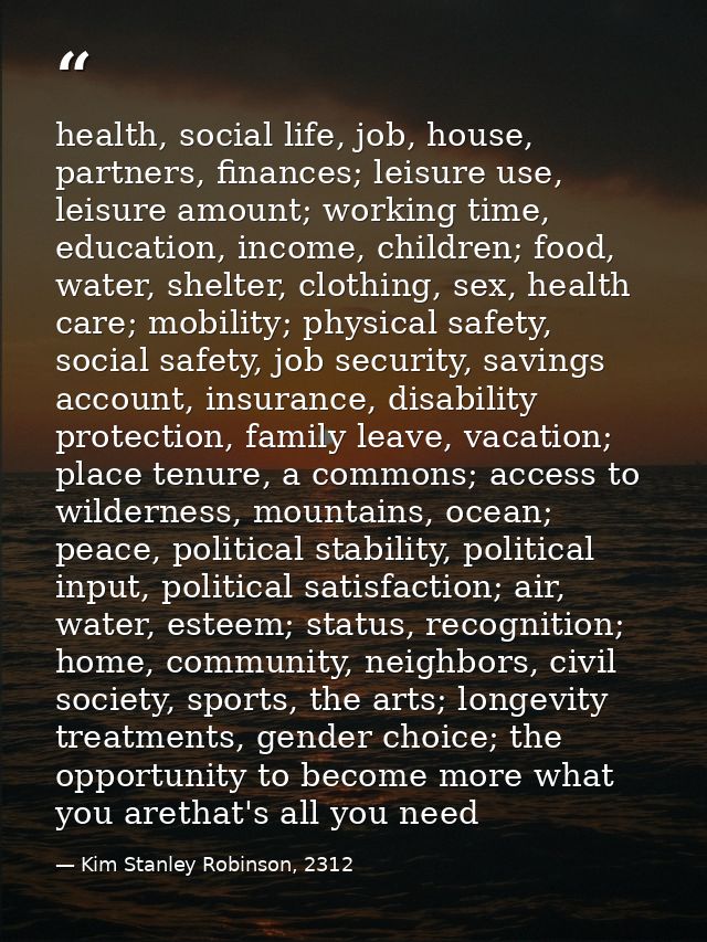 health, social life, job, house, partners, finances; leisure use, leisure amount; working time, education, income, child — Kim Stanley Robinson, 2312