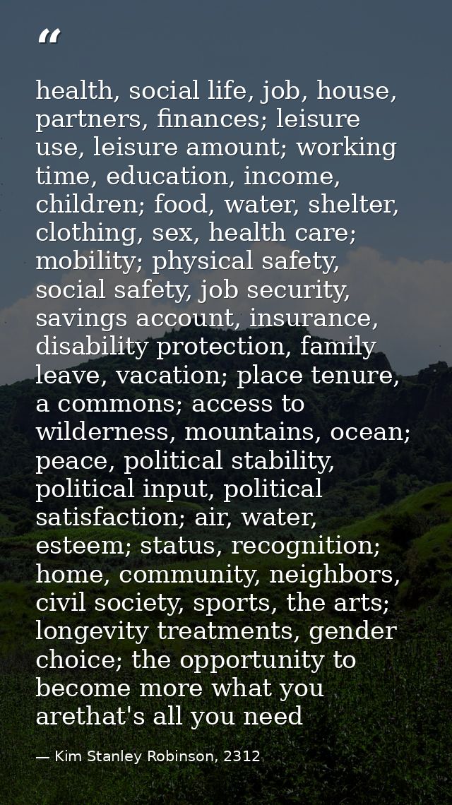 health, social life, job, house, partners, finances; leisure use, leisure amount; working time, education, income, child — Kim Stanley Robinson, 2312