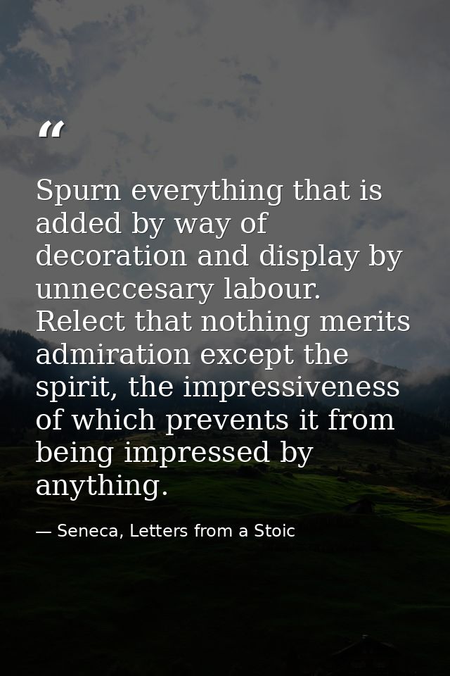 Spurn everything that is added by way of decoration and display by unneccesary labour. Relect that nothing merits admira — Seneca, Letters from a Stoic