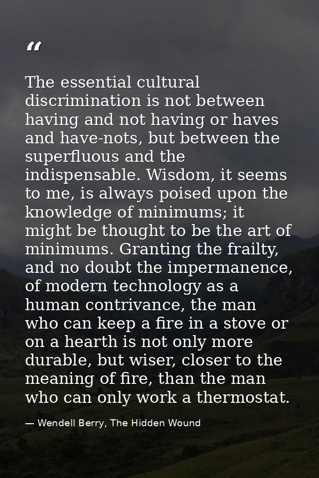 The essential cultural discrimination is not between having and not having or haves and have-nots, but between the super — Wendell Berry, The Hidden Wound