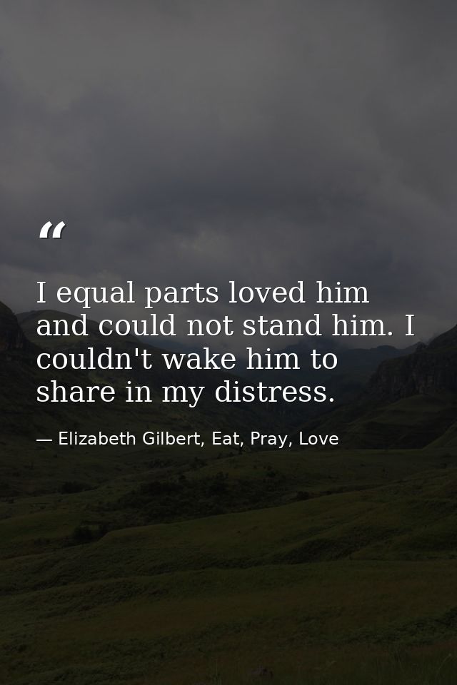 I equal parts loved him and could not stand him. I couldn't wake him to share in my distress. — Elizabeth Gilbert, Eat, Pray, Love