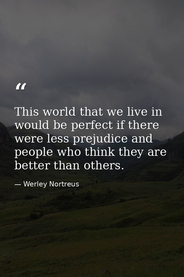 This world that we live in would be perfect if there were less prejudice and people who think they are better than other — Werley Nortreus