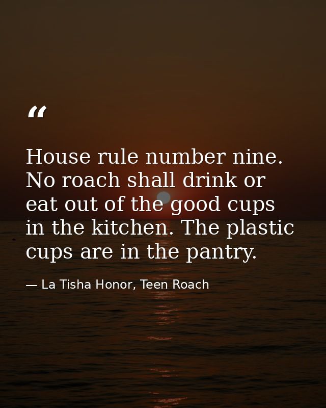 House rule number nine. No roach shall drink or eat out of the good cups in the kitchen. The plastic cups are in the pan — La Tisha Honor, Teen Roach