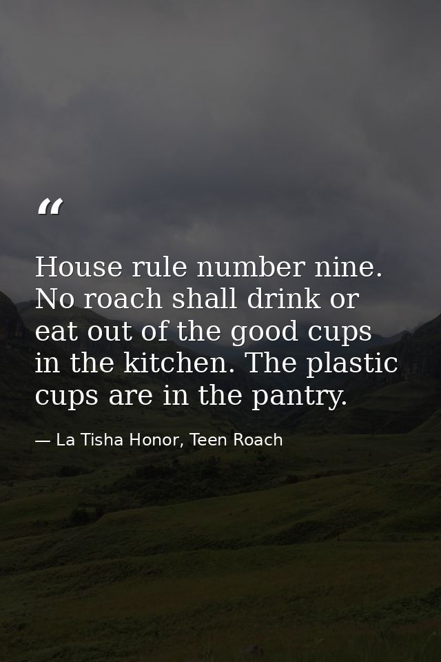 House rule number nine. No roach shall drink or eat out of the good cups in the kitchen. The plastic cups are in the pan — La Tisha Honor, Teen Roach