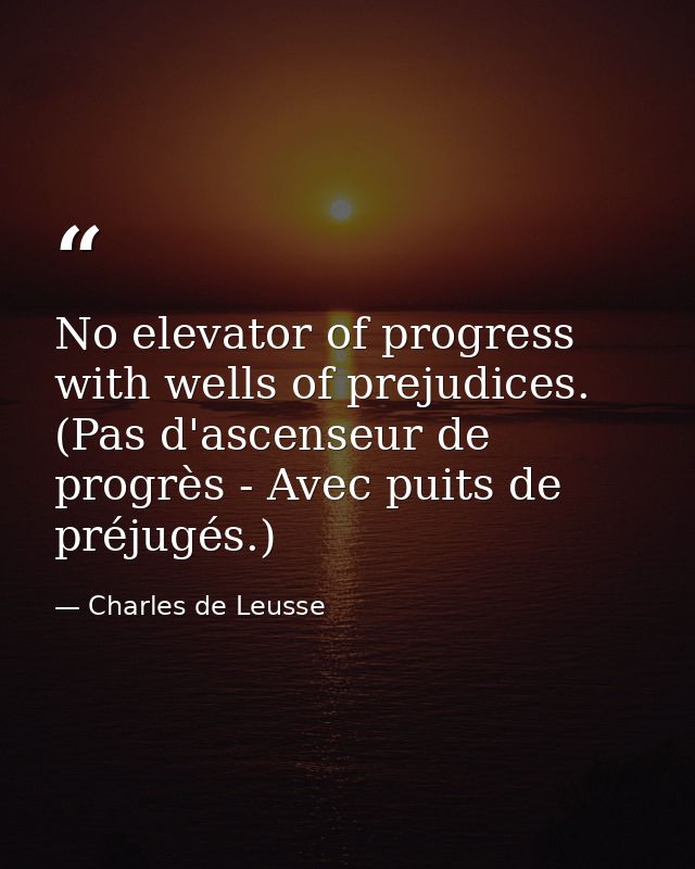 No elevator of progress with wells of prejudices. (Pas d'ascenseur de progrès - Avec puits de préjugés.) — Charles de Leusse