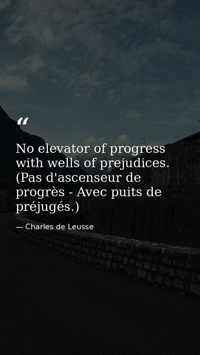 No elevator of progress with wells of prejudices. (Pas d'ascenseur de progrès - Avec puits de préjugés.) — Charles de Leusse