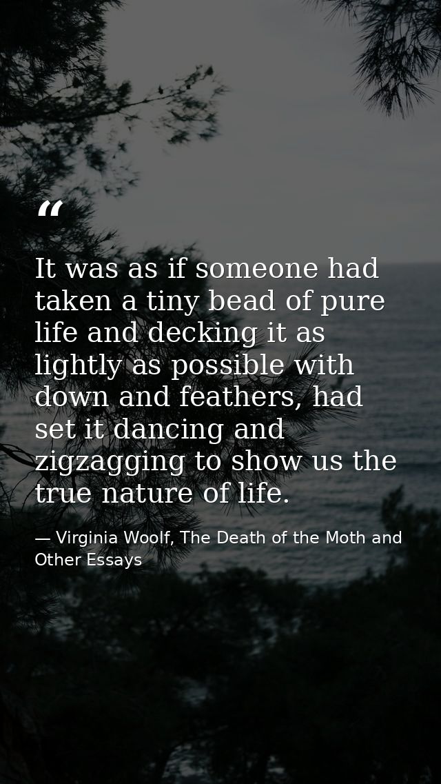 It was as if someone had taken a tiny bead of pure life and decking it as lightly as possible with down and feathers, ha — Virginia Woolf, The Death of the Moth and Other Essays