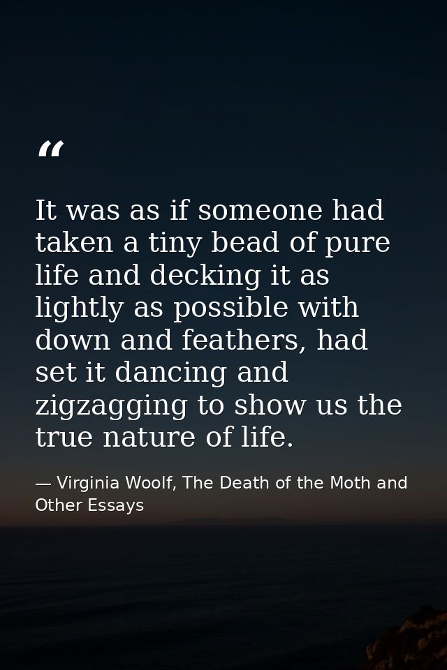 It was as if someone had taken a tiny bead of pure life and decking it as lightly as possible with down and feathers, ha — Virginia Woolf, The Death of the Moth and Other Essays