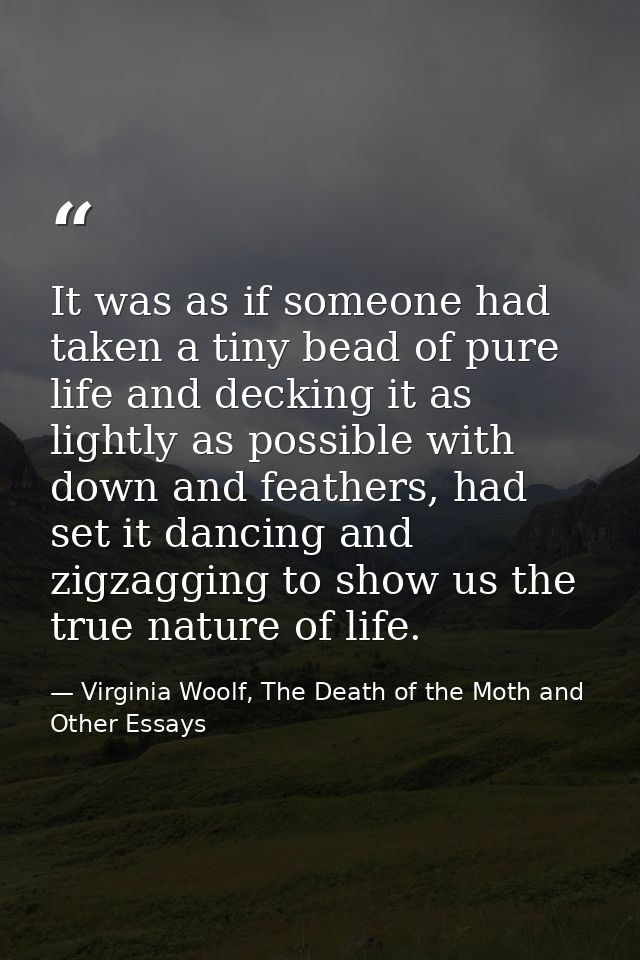 It was as if someone had taken a tiny bead of pure life and decking it as lightly as possible with down and feathers, ha — Virginia Woolf, The Death of the Moth and Other Essays