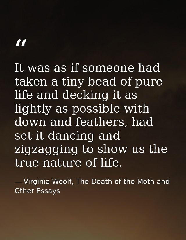 It was as if someone had taken a tiny bead of pure life and decking it as lightly as possible with down and feathers, ha — Virginia Woolf, The Death of the Moth and Other Essays