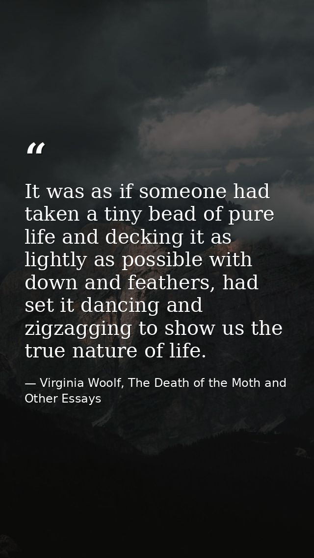 It was as if someone had taken a tiny bead of pure life and decking it as lightly as possible with down and feathers, ha — Virginia Woolf, The Death of the Moth and Other Essays