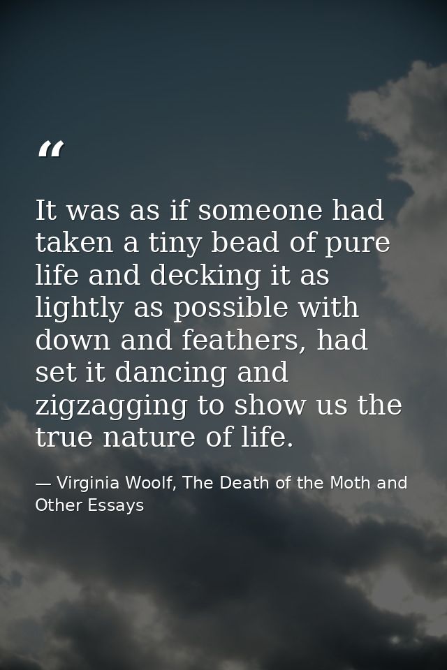 It was as if someone had taken a tiny bead of pure life and decking it as lightly as possible with down and feathers, ha — Virginia Woolf, The Death of the Moth and Other Essays