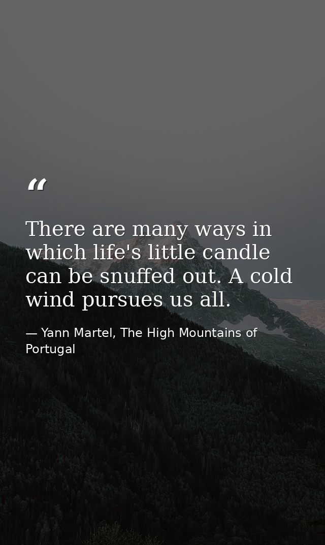 There are many ways in which life's little candle can be snuffed out. A cold wind pursues us all. — Yann Martel, The High Mountains of Portugal