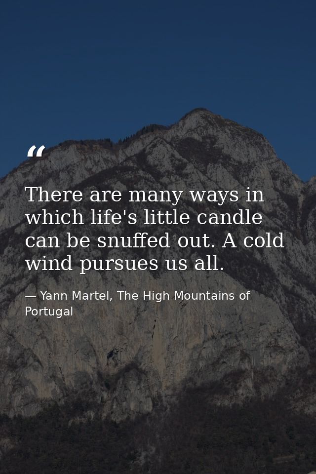 There are many ways in which life's little candle can be snuffed out. A cold wind pursues us all. — Yann Martel, The High Mountains of Portugal