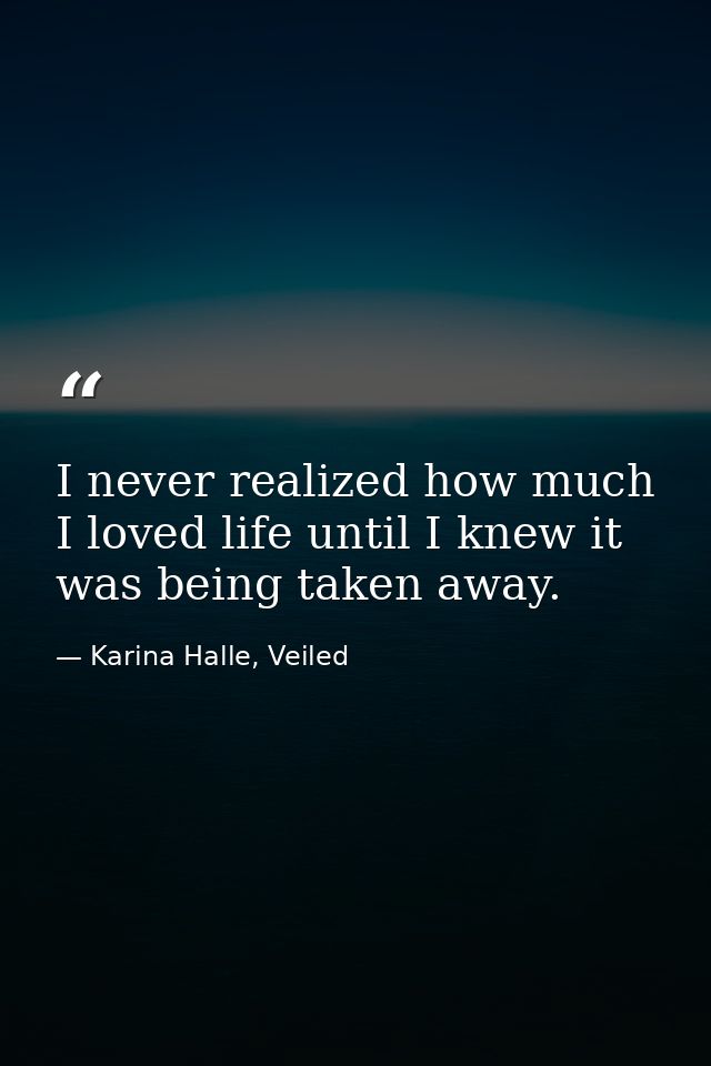 I never realized how much I loved life until I knew it was being taken away. — Karina Halle, Veiled
