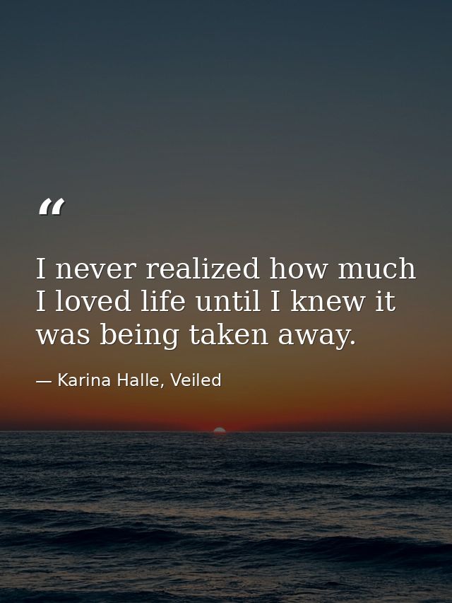 I never realized how much I loved life until I knew it was being taken away. — Karina Halle, Veiled