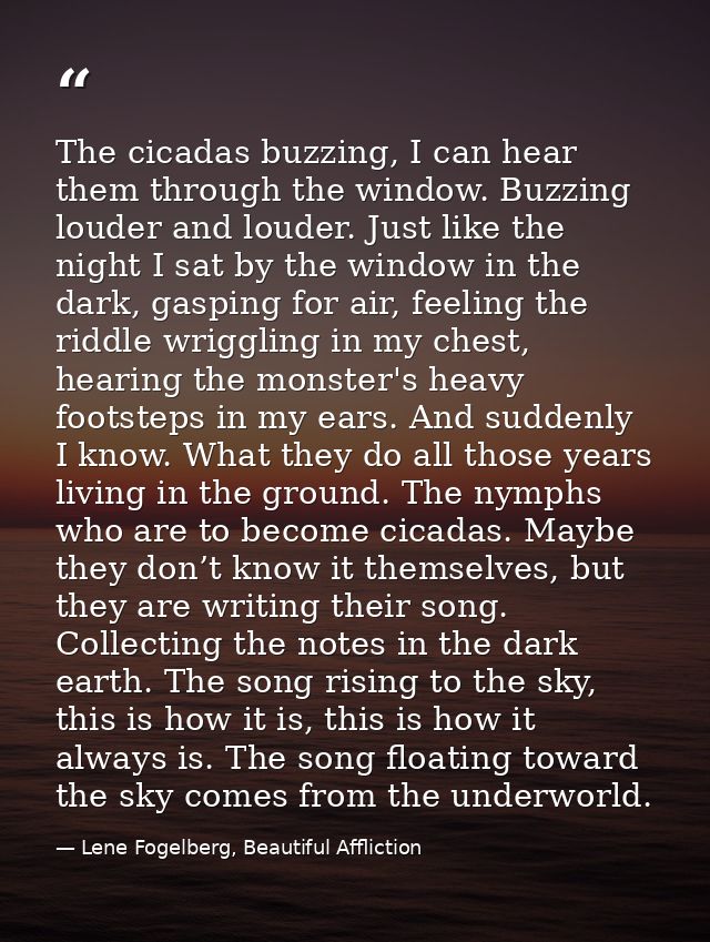 The cicadas buzzing, I can hear them through the window. Buzzing louder and louder. Just like the night I sat by the win — Lene Fogelberg, Beautiful Affliction