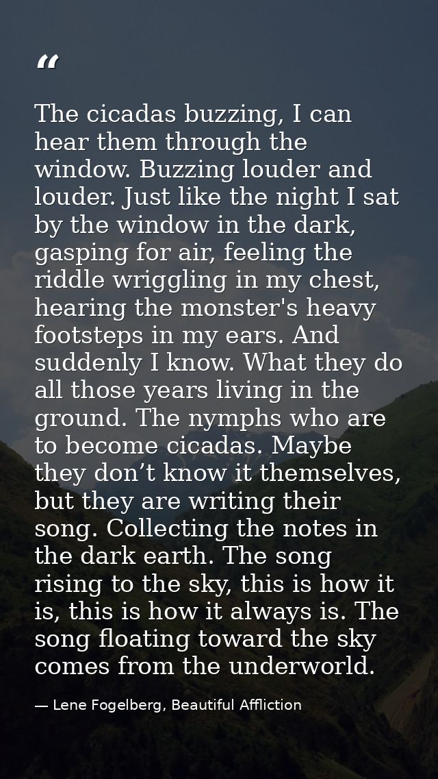 The cicadas buzzing, I can hear them through the window. Buzzing louder and louder. Just like the night I sat by the win — Lene Fogelberg, Beautiful Affliction