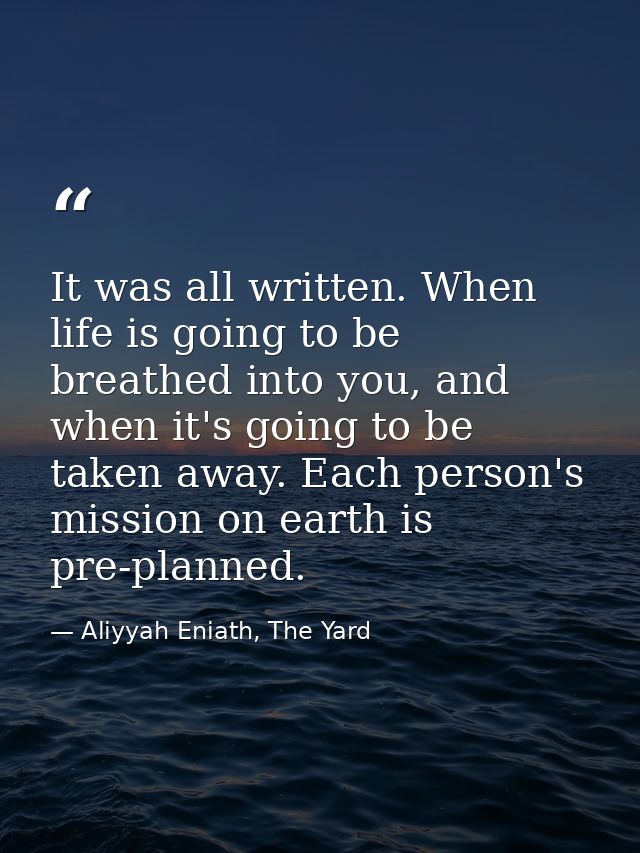 It was all written. When life is going to be breathed into you, and when it's going to be taken away. Each person's miss — Aliyyah Eniath, The Yard