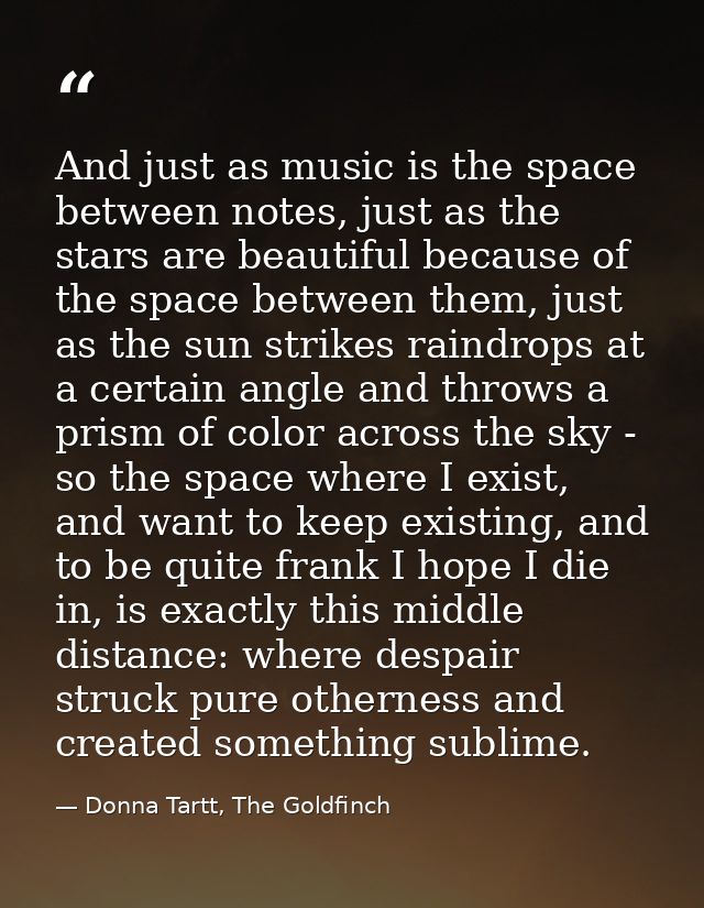And just as music is the space between notes, just as the stars are beautiful because of the space between them, just as — Donna Tartt, The Goldfinch
