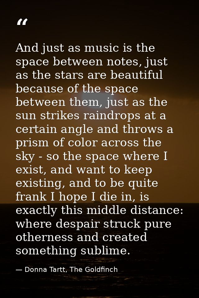 And just as music is the space between notes, just as the stars are beautiful because of the space between them, just as — Donna Tartt, The Goldfinch