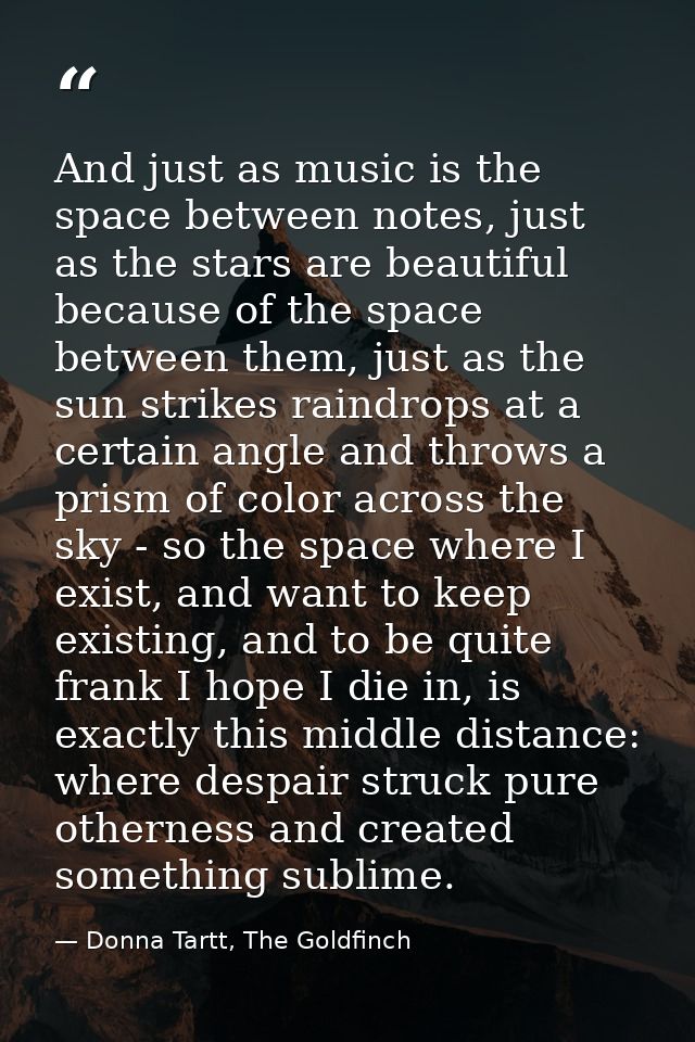 And just as music is the space between notes, just as the stars are beautiful because of the space between them, just as — Donna Tartt, The Goldfinch