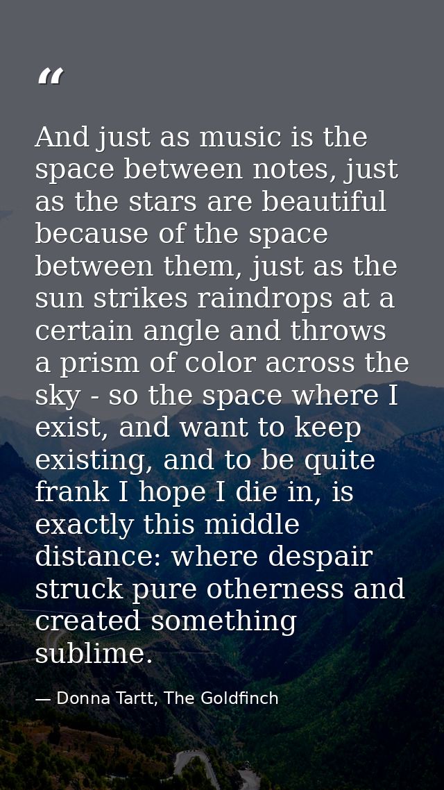 And just as music is the space between notes, just as the stars are beautiful because of the space between them, just as — Donna Tartt, The Goldfinch