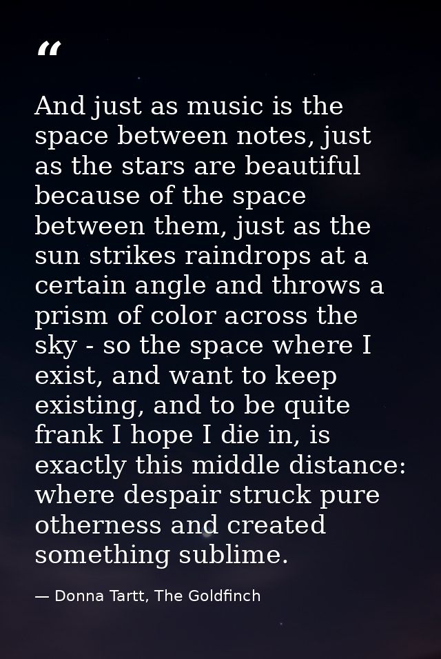 And just as music is the space between notes, just as the stars are beautiful because of the space between them, just as — Donna Tartt, The Goldfinch