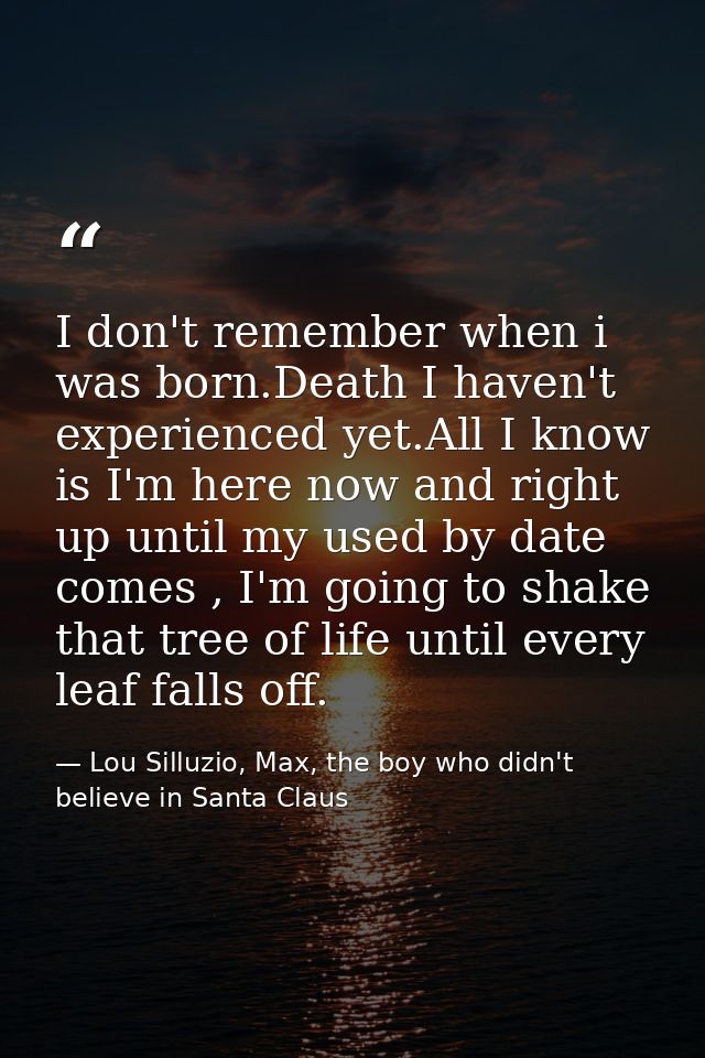 I don't remember when i was born.Death I haven't experienced yet.All I know is I'm here now and right up until my used b — Lou Silluzio, Max, the boy who didn't believe in Santa Claus