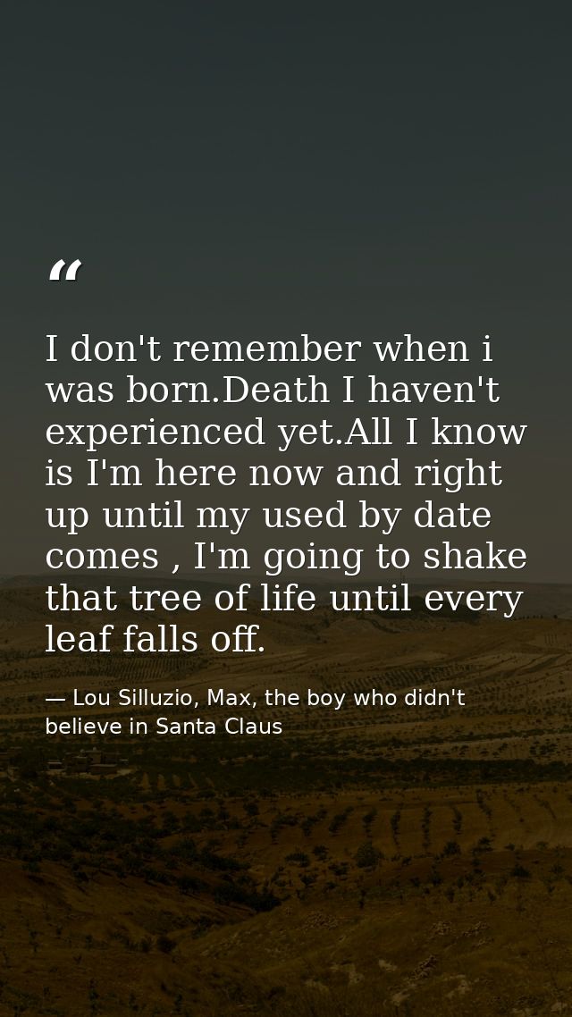 I don't remember when i was born.Death I haven't experienced yet.All I know is I'm here now and right up until my used b — Lou Silluzio, Max, the boy who didn't believe in Santa Claus