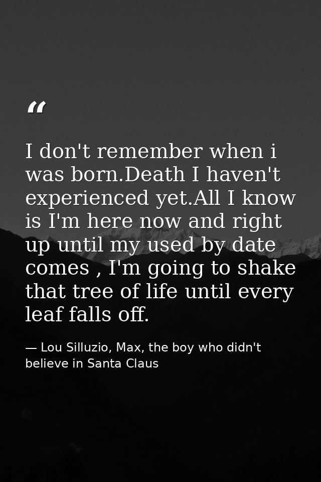 I don't remember when i was born.Death I haven't experienced yet.All I know is I'm here now and right up until my used b — Lou Silluzio, Max, the boy who didn't believe in Santa Claus