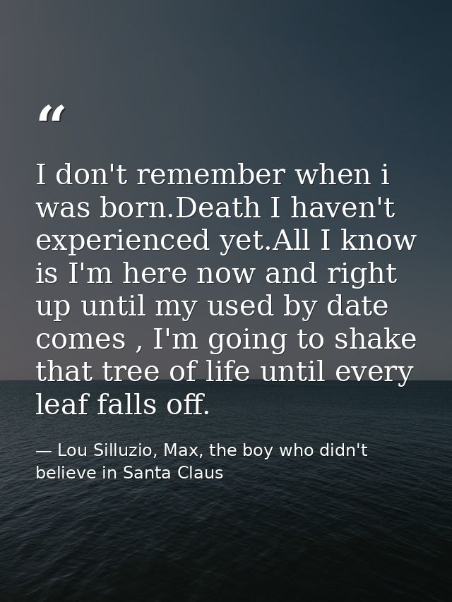 I don't remember when i was born.Death I haven't experienced yet.All I know is I'm here now and right up until my used b — Lou Silluzio, Max, the boy who didn't believe in Santa Claus
