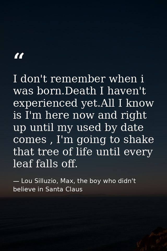 I don't remember when i was born.Death I haven't experienced yet.All I know is I'm here now and right up until my used b — Lou Silluzio, Max, the boy who didn't believe in Santa Claus