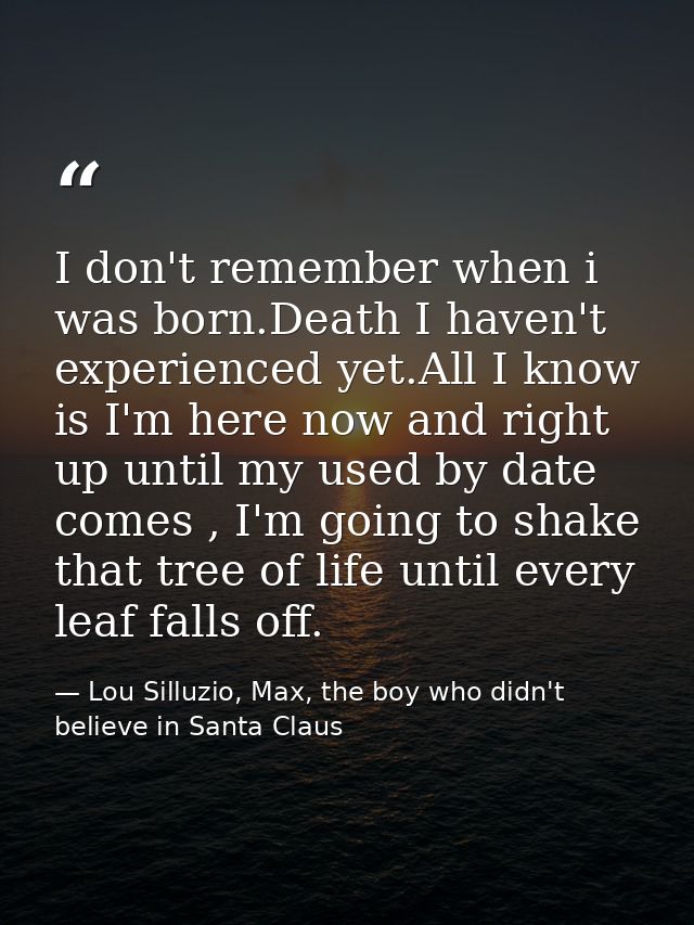 I don't remember when i was born.Death I haven't experienced yet.All I know is I'm here now and right up until my used b — Lou Silluzio, Max, the boy who didn't believe in Santa Claus