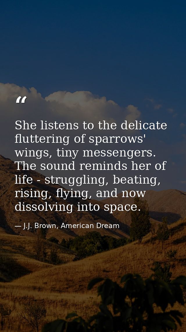 She listens to the delicate fluttering of sparrows' wings, tiny messengers. The sound reminds her of life - struggling,  — J.J. Brown, American Dream