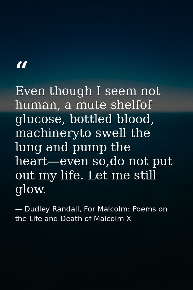 Even though I seem not human, a mute shelfof glucose, bottled blood, machineryto swell the lung and pump the heart—even  — Dudley Randall, For Malcolm: Poems on the Life and Death of Malcolm X