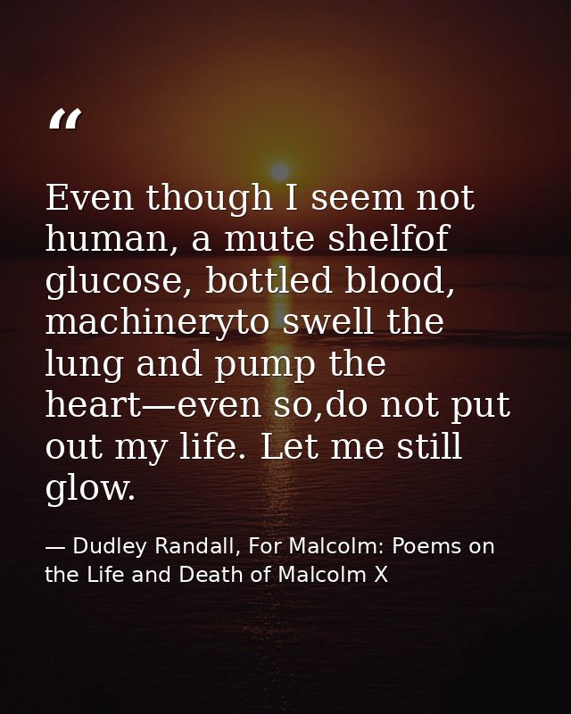 Even though I seem not human, a mute shelfof glucose, bottled blood, machineryto swell the lung and pump the heart—even  — Dudley Randall, For Malcolm: Poems on the Life and Death of Malcolm X