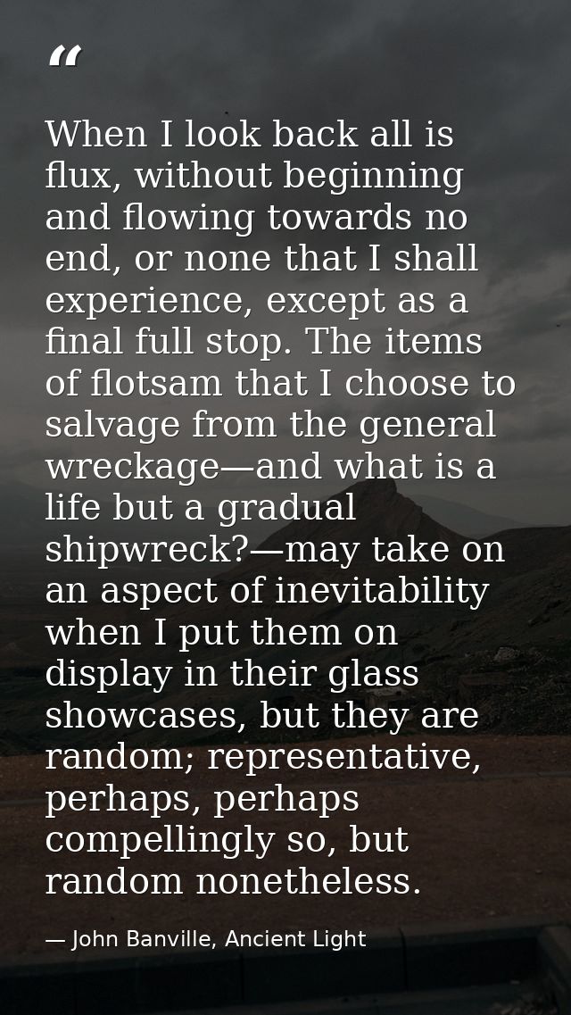 When I look back all is flux, without beginning and flowing towards no end, or none that I shall experience, except as a — John Banville, Ancient Light