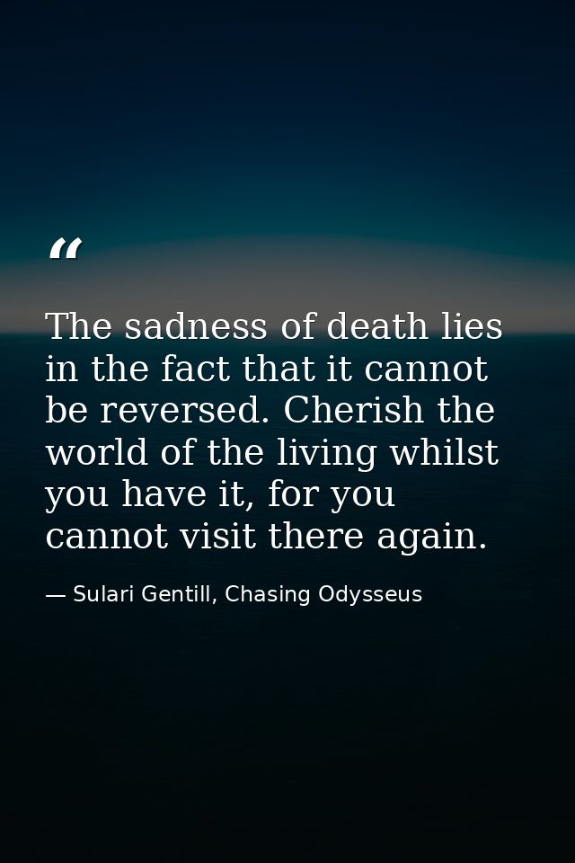 The sadness of death lies in the fact that it cannot be reversed. Cherish the world of the living whilst you have it, fo — Sulari Gentill, Chasing Odysseus