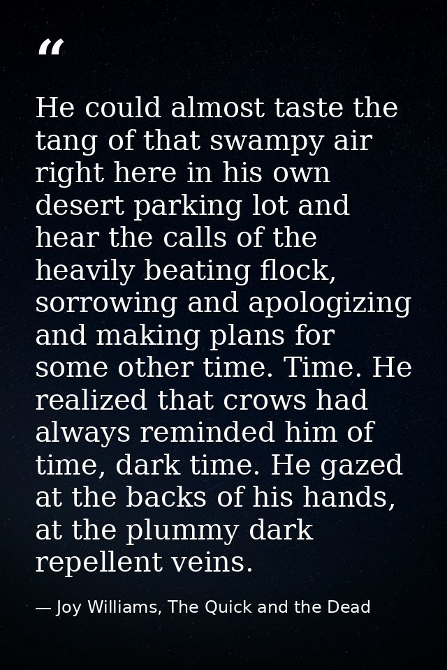 He could almost taste the tang of that swampy air right here in his own desert parking lot and hear the calls of the hea — Joy Williams, The Quick and the Dead