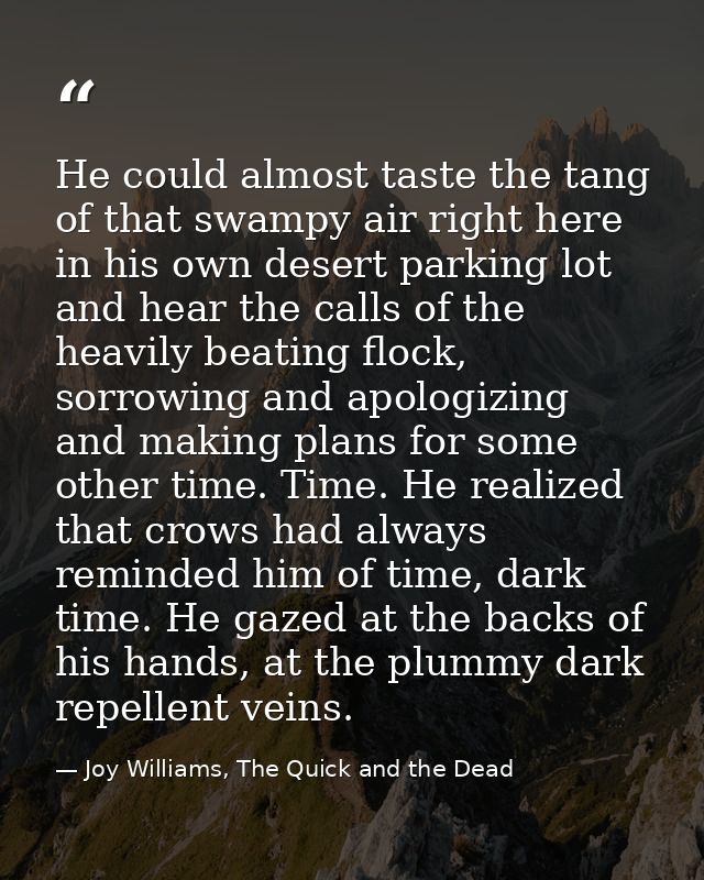 He could almost taste the tang of that swampy air right here in his own desert parking lot and hear the calls of the hea — Joy Williams, The Quick and the Dead