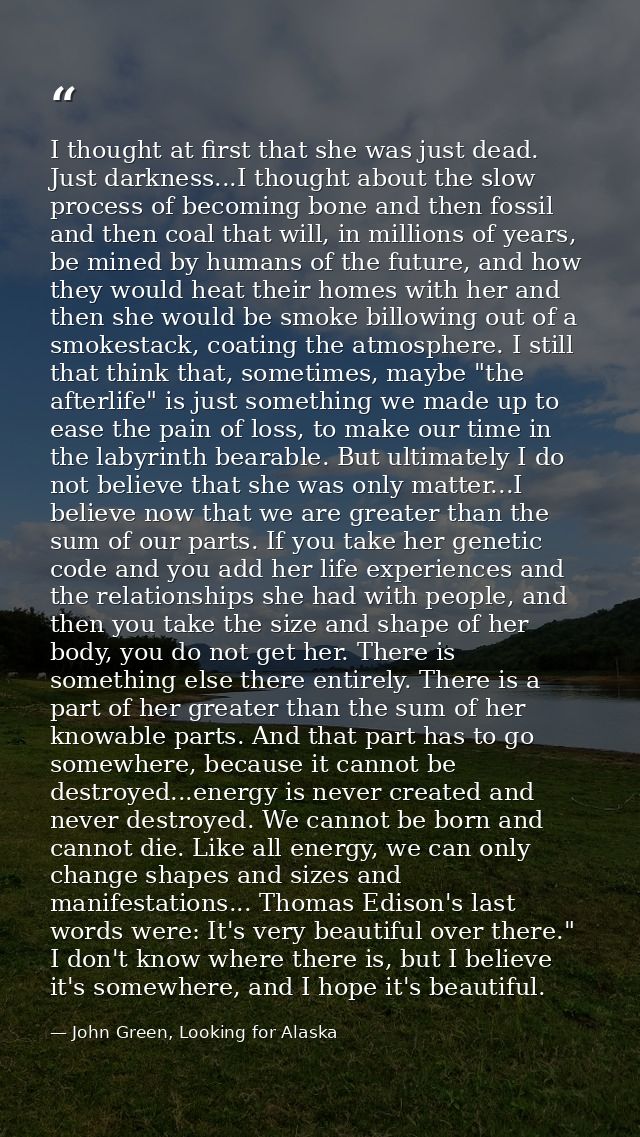 I thought at first that she was just dead. Just darkness...I thought about the slow process of becoming bone and then fo — John Green, Looking for Alaska