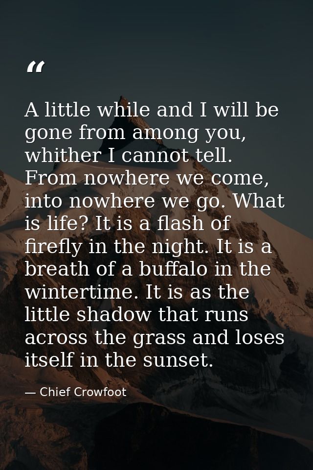 A little while and I will be gone from among you, whither I cannot tell. From nowhere we come, into nowhere we go. What  — Chief Crowfoot