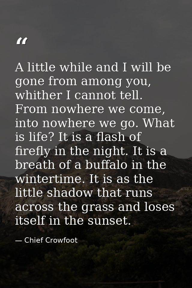 A little while and I will be gone from among you, whither I cannot tell. From nowhere we come, into nowhere we go. What  — Chief Crowfoot