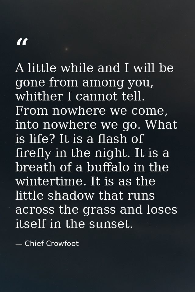 A little while and I will be gone from among you, whither I cannot tell. From nowhere we come, into nowhere we go. What  — Chief Crowfoot